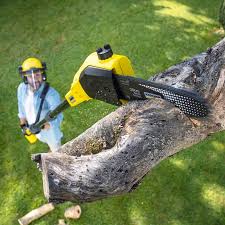 Best Lawn Mowing  in Mcfarland, CA